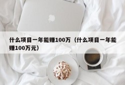 什么项目一年能赚100万（什么项目一年能赚100万元）