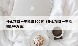 什么项目一年能赚100万（什么项目一年能赚100万元）