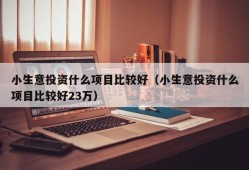 小生意投资什么项目比较好（小生意投资什么项目比较好23万）