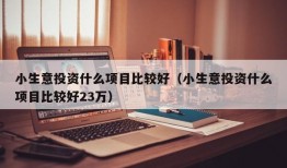 小生意投资什么项目比较好（小生意投资什么项目比较好23万）