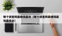 哪个调查网最赚钱最快（哪个调查网最赚钱最快最安全）