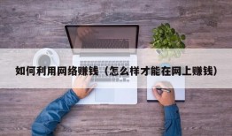 如何利用网络赚钱（怎么样才能在网上赚钱）