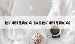 挖矿赚钱是真的吗（软件挖矿赚钱是真的吗）