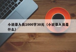 小说录入员1000字30元（小说录入员是什么）