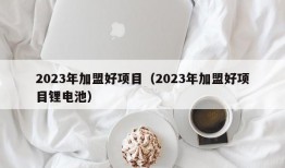 2023年加盟好项目（2023年加盟好项目锂电池）