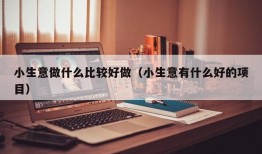 小生意做什么比较好做（小生意有什么好的项目）