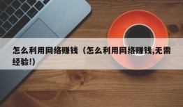 怎么利用网络赚钱（怎么利用网络赚钱,无需经验!）