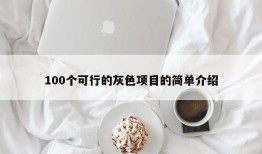 100个可行的灰色项目的简单介绍