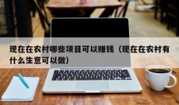 现在在农村哪些项目可以赚钱（现在在农村有什么生意可以做）