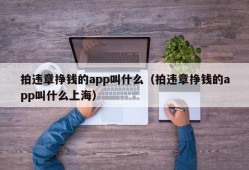 拍违章挣钱的app叫什么（拍违章挣钱的app叫什么上海）