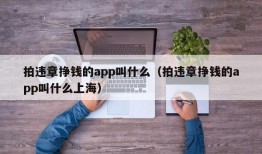 拍违章挣钱的app叫什么（拍违章挣钱的app叫什么上海）