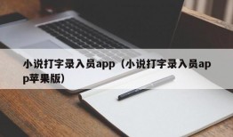 小说打字录入员app（小说打字录入员app苹果版）