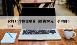 农村15个致富项目（投资20元一小时赚500）