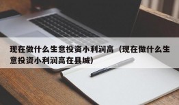 现在做什么生意投资小利润高（现在做什么生意投资小利润高在县城）