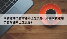 网贷逾期了暂时还不上怎么办（小额网贷逾期了暂时还不上怎么办）