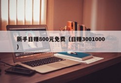 新手日赚800元免费（日赚3001000）