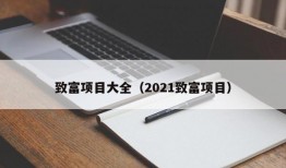 致富项目大全（2021致富项目）