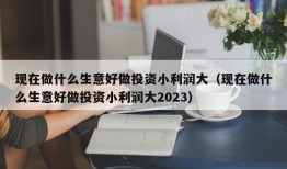 现在做什么生意好做投资小利润大（现在做什么生意好做投资小利润大2023）