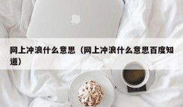 网上冲浪什么意思（网上冲浪什么意思百度知道）