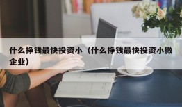 什么挣钱最快投资小（什么挣钱最快投资小微企业）