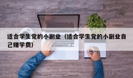 适合学生党的小副业（适合学生党的小副业自己赚学费）