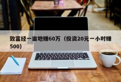 致富经一亩地赚60万（投资20元一小时赚500）