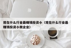 现在什么行业最赚钱投资小（现在什么行业最赚钱投资小微企业）