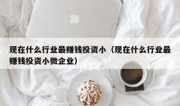 现在什么行业最赚钱投资小（现在什么行业最赚钱投资小微企业）