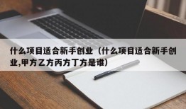 什么项目适合新手创业（什么项目适合新手创业,甲方乙方丙方丁方是谁）